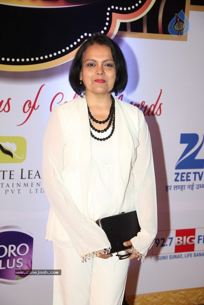 ZEE TV 8th Boroplus Gold Awards 2015 - 83 / 99 photos