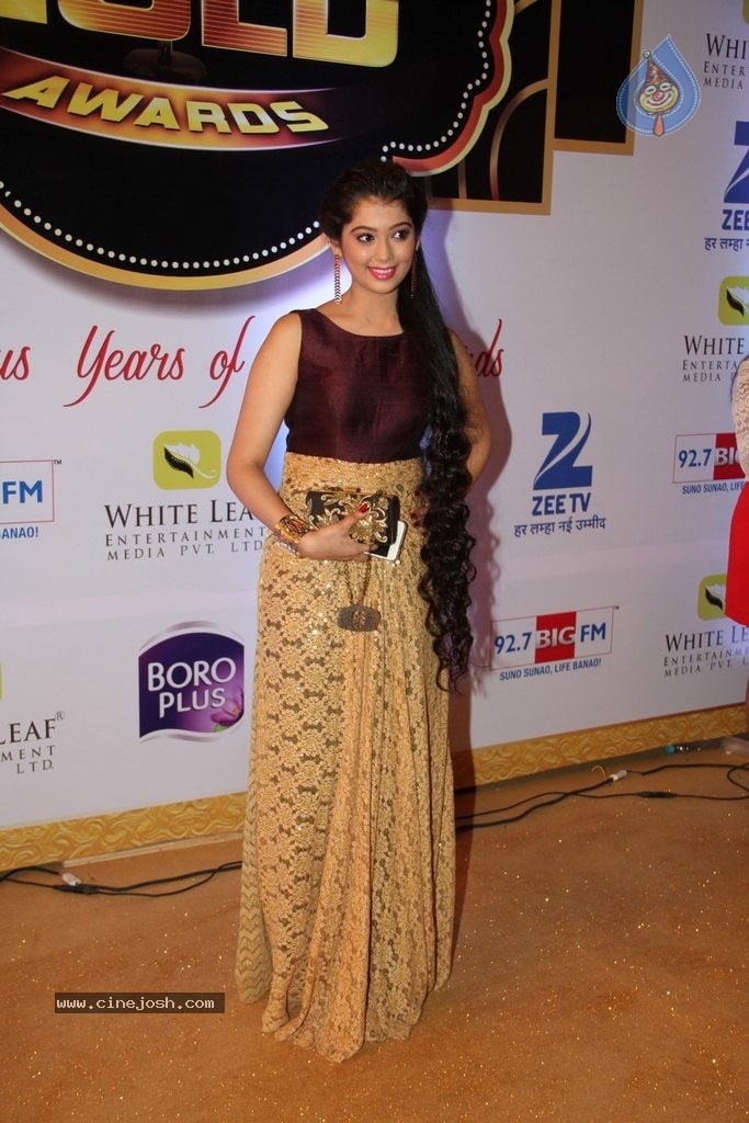 ZEE TV 8th Boroplus Gold Awards 2015 - 90 / 99 photos