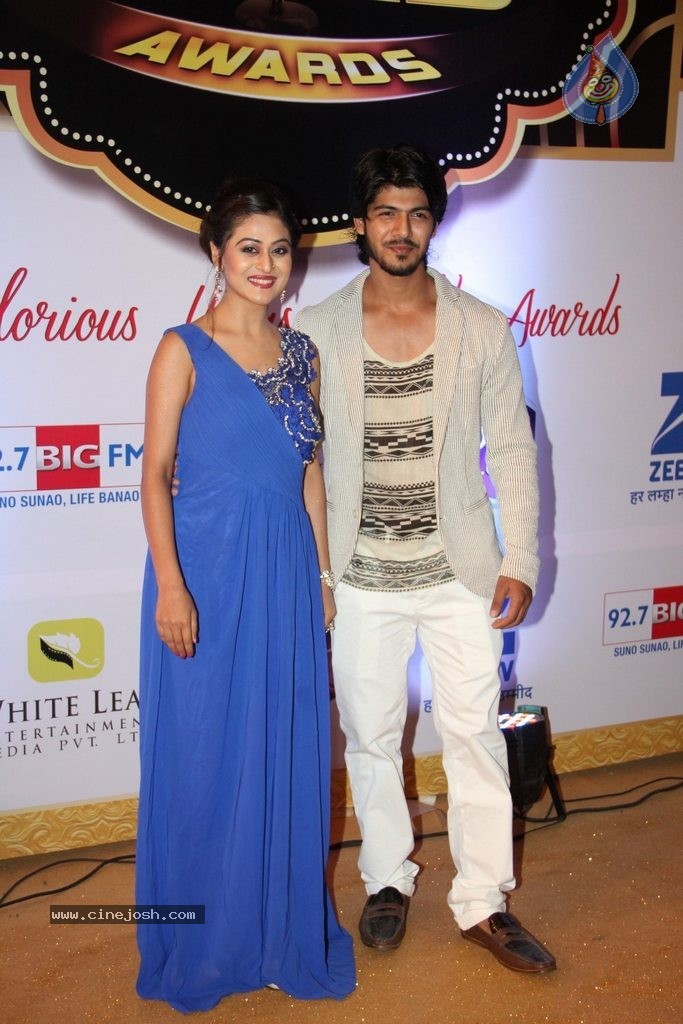 ZEE TV 8th Boroplus Gold Awards 2015 - 93 / 99 photos