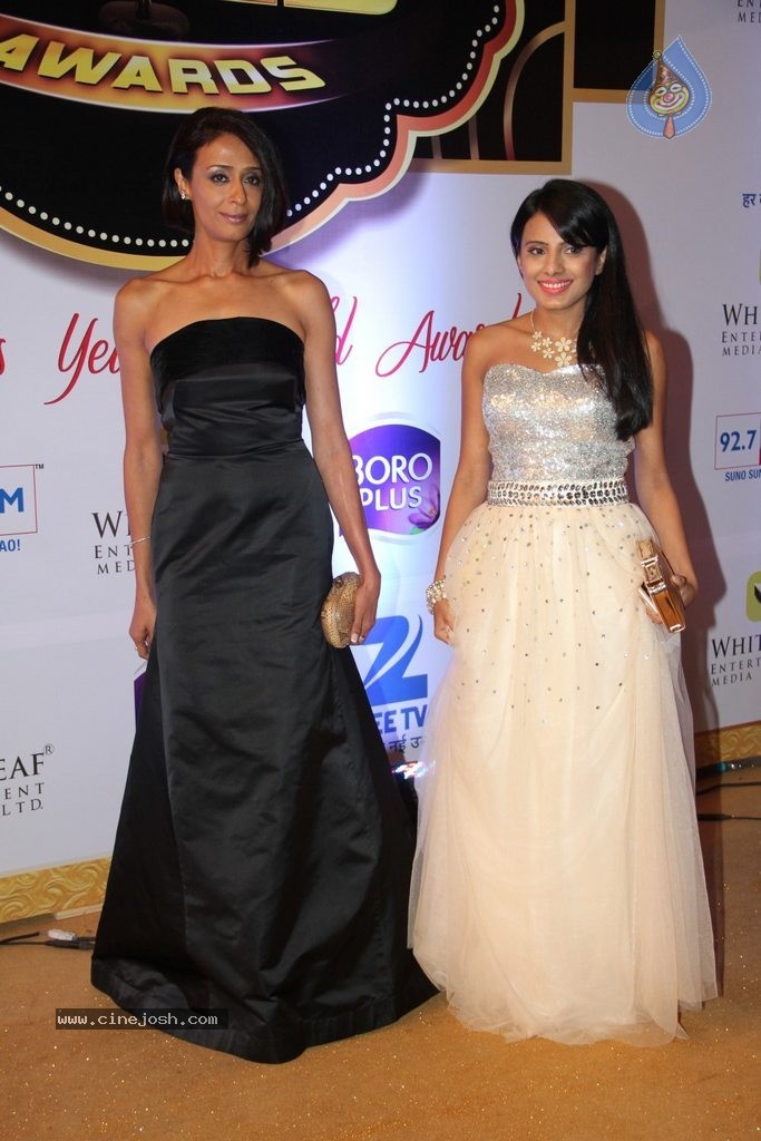 ZEE TV 8th Boroplus Gold Awards 2015 - 95 / 99 photos