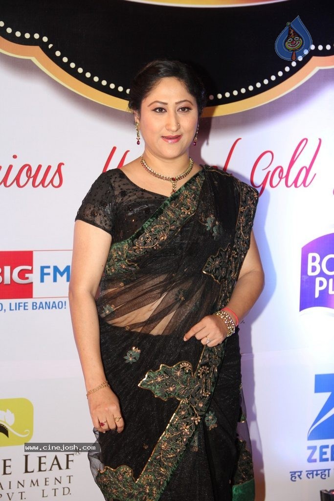 ZEE TV 8th Boroplus Gold Awards 2015 - 98 / 99 photos