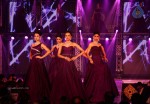 1st India Bullion Jewellery Awards 2013 n Fashion Show - 15 of 78