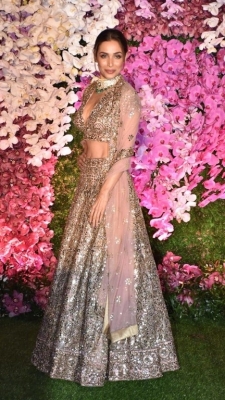 Akash Ambani And Shloka Mehta Reception Photos - 4 of 75