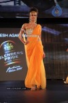 Blenders Pride Fashion Tour 2011 - 15 of 34