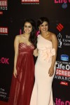 Bolly Celebs at 21st Life OK Screen Awards 02 - 7 of 78