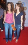 Bolly Celebs at Furniturewalla Store Launch - 28 of 87