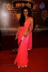 Bolly Celebs at ITA Awards - 33 of 99