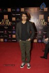 Bolly Celebs at Renault Star Guild Awards 2013 - 58 of 112