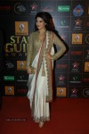 Bolly Celebs at the 9th Renault Star Guild Awards - 80 of 152