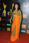 Bolly Celebs at the 9th Renault Star Guild Awards - 116 of 152