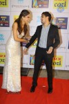 Hot Celebs at Zee Cine Awards 2014 - 5 of 74