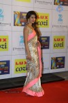Hot Celebs at Zee Cine Awards 2014 - 15 of 74