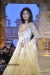 Bolly Celebs Ramp Walk at Mijwan Show - 95 of 138