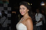 Bolly Celebs Walks the Ramp at AVIBFW- 02 - 109 of 115