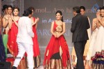 Bolly Celebs Walks the Ramp at IIJW - 152 of 152