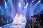 Bolly Celebs Walks the Ramp at IIJW 2014 Grand Finale - 49 of 114
