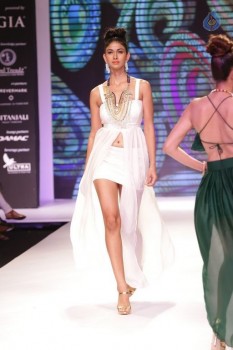 Bollywood Celebrities at IIJW 2015 Show - 42 of 90