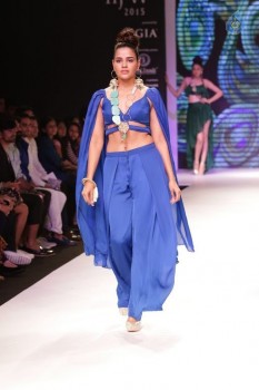 Bollywood Celebrities at IIJW 2015 Show - 82 of 90