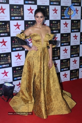 Bollywood Celebrities At Star Screen Awards 2017 - 1 of 33