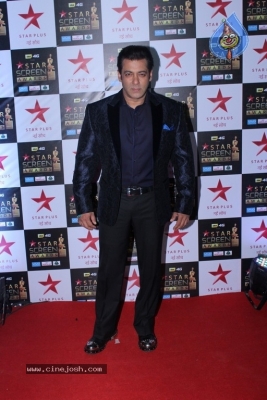 Bollywood Celebrities At Star Screen Awards 2017 - 10 of 33