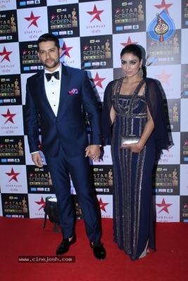 Bollywood Celebrities At Star Screen Awards 2017 - 26 of 33