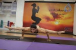 Bollywood Celebs Celebrates International Yoga Day - 47 of 76