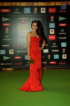 Celebrities at 17th Nexa IIFA Awards - 35 of 81
