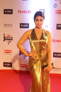 Celebrities at Filmfare 2016 Awards 1 - 28 of 84