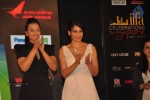 Celebrities at IIFA 2012 Press Meet  - 42 of 55