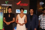 Celebrities at IIFA 2012 Press Meet  - 54 of 55
