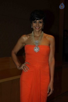 Celebrities at NRI of the Year Awards 2016 - 1 of 40