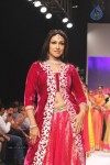 Celebrities Ramp Walk At IIJW 2013 - 23 of 90