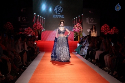 Celebrities Walks On Ramp at IIJW 2017 - 15 of 27
