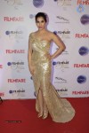 Celebs at Ciroc Filmfare Glamour n Style Awards 02 - 46 of 64