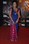 Celebs at Colors Golden Petal Awards 2012 - 80 of 86