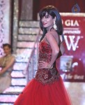 Celebs at IIJW 2013 Finale - 44 of 66