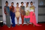 Celebs at In an Artists Mind V Fashion Show - 27 of 84