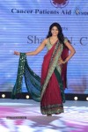 Celebs at Pidilite CPAA Fashion Show - 23 of 85