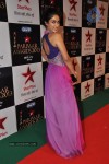 Celebs at Star Parivaar Awards 2013 - 98 of 161
