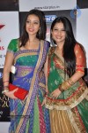 Celebs at Star Parivaar Awards 2013 - 161 of 161