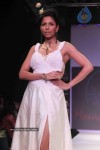 Celebs Walk the Ramp at IIJW 2011 Fashion Show - 34 of 137