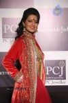 Celebs Walk the Ramp at IIJW 2011 Fashion Show - 37 of 137