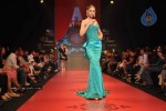 Celebs Walk the Ramp at IIJW 2011 Fashion Show - 41 of 137