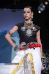 Celebs Walk the Ramp at IIJW 2011 Fashion Show - 42 of 137