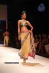 Celebs Walk the Ramp at IIJW 2011 Fashion Show Day 2 - 24 of 113
