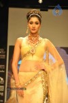 Celebs Walk the Ramp at IIJW 2011 Fashion Show Day 2 - 25 of 113