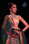 Celebs Walk the Ramp at IIJW 2011 Fashion Show Day 2 - 39 of 113