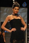 Celebs Walk the Ramp at IIJW 2011 Fashion Show Day 2 - 49 of 113