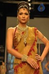 Celebs Walk the Ramp at IIJW 2011 Fashion Show Day 2 - 51 of 113