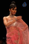 Celebs Walk the Ramp at IIJW 2011 Fashion Show Day 2 - 55 of 113